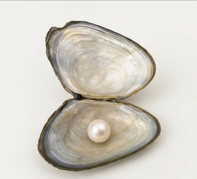 Open the Oyster